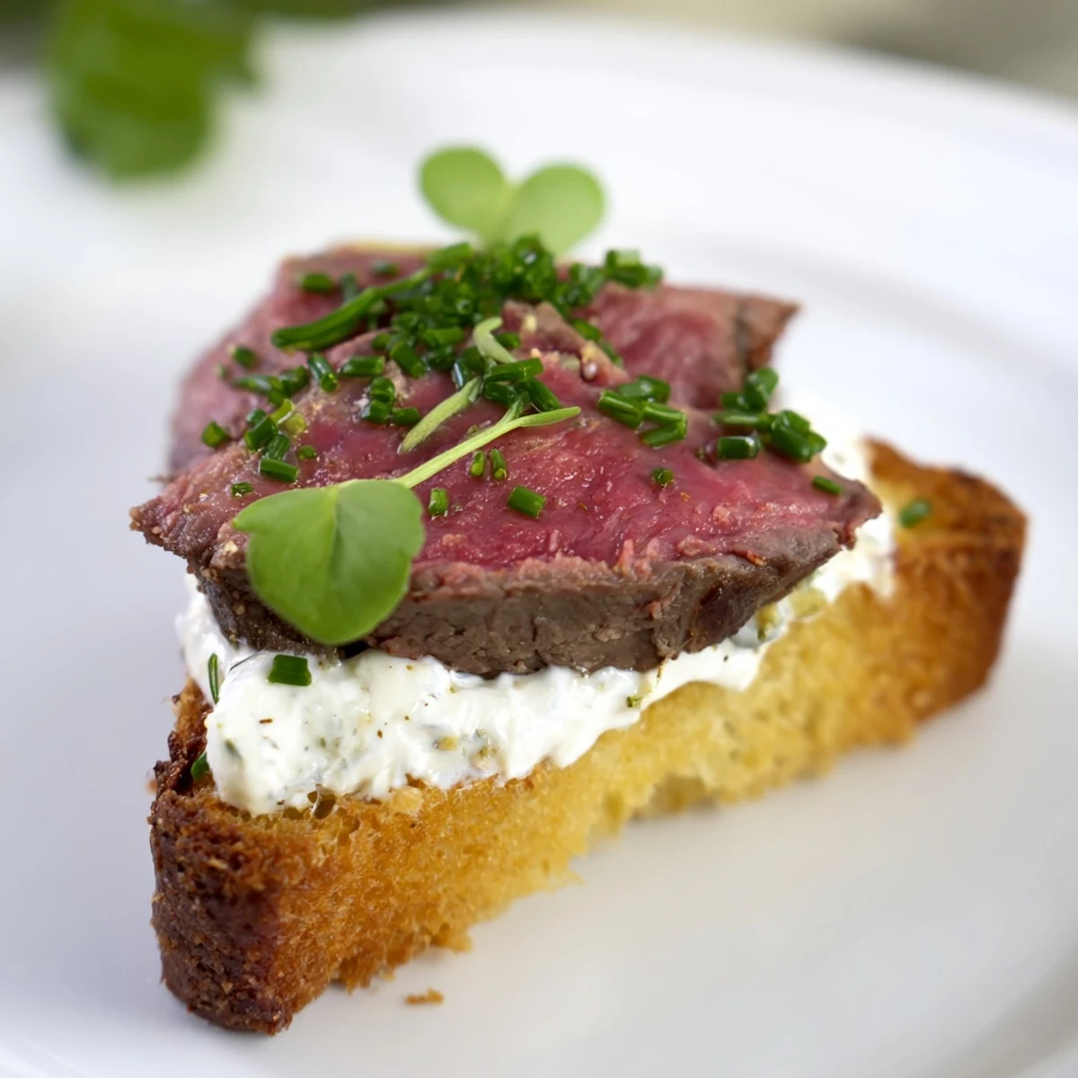 Savory Beef Toast Points arranged on a platter, ideal for pairing with a glass of red wine.